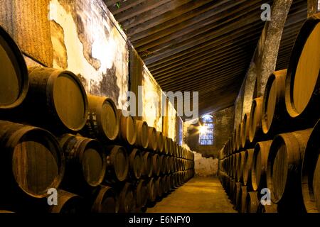 Bodegas Lustau, Jerez de la Frontera, la provincia di Cadiz Cadice, Andalusia, Spagna, Sud ovest Europa Foto Stock