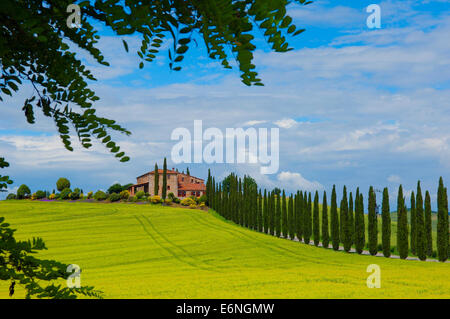 Val d'Orcia, Val d'Orcia, agriturismo con cipressi, i campi e le case coloniche, Toscana paesaggio, sito patrimonio mondiale dell'UNESCO, Pienza Foto Stock