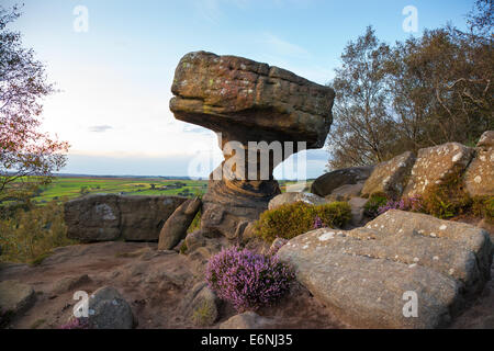 Brimham rocce naturali di bilanciamento formazioni rocciose nel North Yorkshire Dales, i bambini attivi e i turisti in visita presso il National Trust sito con holidayin Foto Stock