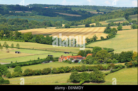 Agriturismo in laminazione Chiltern Hills nel Buckinghamshire Foto Stock