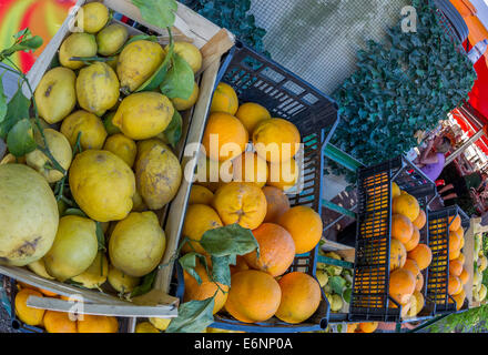 I limoni e le arance in cassette di plastica in vendita. Foto Stock