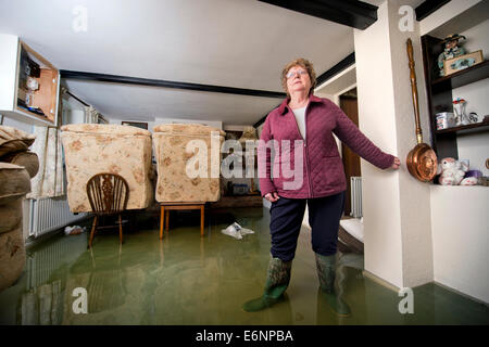 Inondazioni in Somerset livelli - Margaret Bloccare chi è stata inondata dalla sua casa nel villaggio di Fordland Feb 2014 Foto Stock