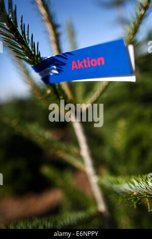 Vestenbergsgreuth, Germania. 28 Agosto, 2014. Una lettura di tag " azione " durante un evento informazioni dall'Associazione tedesca di albero di Natale gli agricoltori di Vestenbergsgreuth, Germania, 28 agosto 2014. Foto: DAVID EBENER/dpa/Alamy Live News Foto Stock