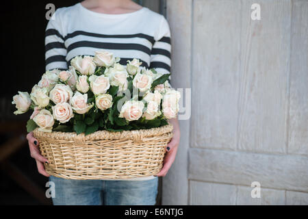Bellezza delle Rose Foto Stock