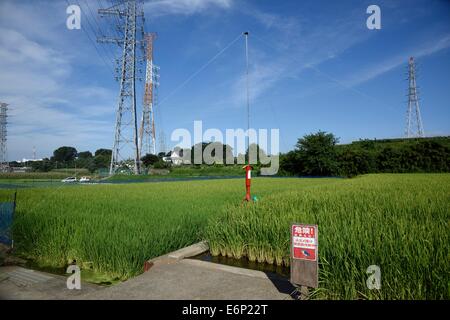 Campo di riso,Bird guard system,Isehara,kanagawa, Giappone Foto Stock