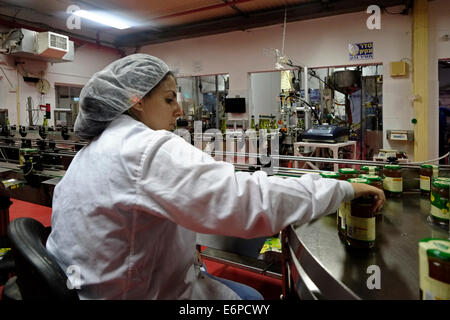 Una donna israeliana che lavora nella fabbrica di Miele di Kibbutz Yad Mordechai nel sud di Israele Foto Stock