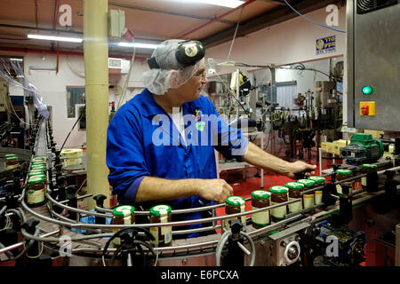 Un uomo israeliano al lavoro nella fabbrica di Miele di Kibbutz Yad Mordechai, nell'Israele meridionale Foto Stock