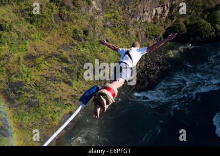 Bungee Jumping a Victoria Falls oltre il fiume Zambesi. Sicuramente il bungee jumping 111 metri fuori dal Victoria falls Bridge deve essere su Foto Stock