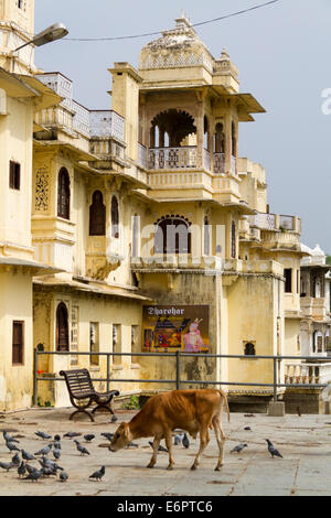 La mattina presto in scena con la mucca di roaming al vuoto dal lungomare del Lago Pichola in Udaipur, Rajastan, India Foto Stock