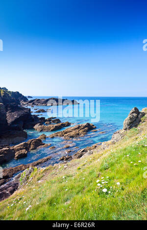 Caerthillian Cove da Sud ovest sentiero costiero sulla penisola di Lizard in Cornovaglia Inghilterra, Regno Unito Foto Stock