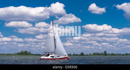 Barca a vela sul lago di Dümmer, dümmerlohhausen, distretto di Diepholz, Bassa Sassonia, Germania Foto Stock