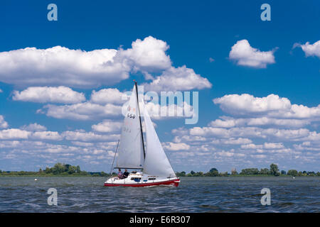 Barca a vela sul lago di Dümmer, dümmerlohhausen, distretto di Diepholz, Bassa Sassonia, Germania Foto Stock