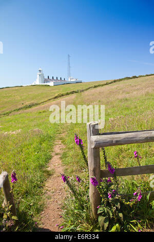 Lizard faro e foxglove fiori da un campo sulla costa sud-ovest il Sentiero Cornwall Inghilterra REGNO UNITO Foto Stock