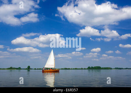 Barca a vela sul lago di Dümmer, dümmerlohhausen, distretto di Diepholz, Bassa Sassonia, Germania Foto Stock