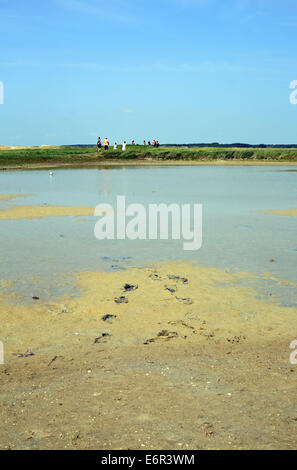 Baie de l'Authie, Fort Mahon Plage, Somme Picardia, Francia Foto Stock