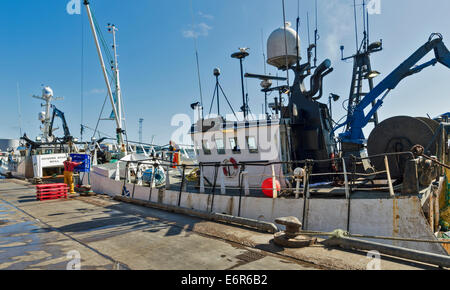 PETERHEAD HARBOUR ABERDEENSHIRE cassette di scarico del pesce congelato da un peschereccio per traino Foto Stock