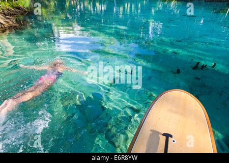 Imbarco a pale in 3 sorelle molla in Crystal River Florida con una femmina di nuoto al di sotto della superficie accanto al bordo Foto Stock