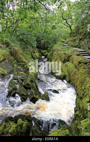 Ingleton, North Yorkshire, Inghilterra, Regno Unito. Foto Stock