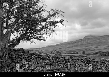 Ingleborough vicino Ingleton, North Yorkshire, Inghilterra, Regno Unito. Foto Stock