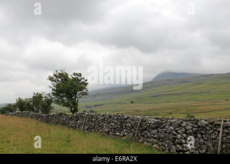 Ingleborough vicino Ingleton, North Yorkshire, Inghilterra, Regno Unito. Foto Stock