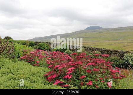 Ingleborough vicino Ingleton, North Yorkshire, Inghilterra, Regno Unito. Foto Stock