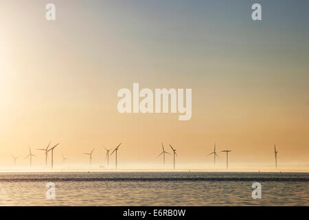 Molte turbine eoliche all'alba nella provincia olandese di Flevoland Foto Stock