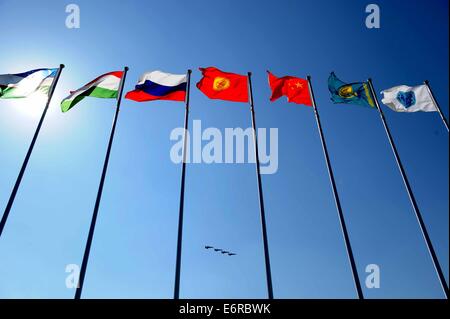 Zhurihe, Mongolia Interna, Cina. Il 29 agosto, 2014. Aerei sorvolano le bandiere di organizzazione per la cooperazione di Shanghai (SCO) paesi membri durante la cerimonia di chiusura della missione di pace - 2014 trapano militare in Zhurihe, Mongolia Interna, nel nord della Cina, il 29 agosto 2014. La punta da trapano, che coinvolgono oltre 7 mila personale da Cina, Russia, del Kazakistan, del Kirghizistan e del Tagikistan e dovrebbe affinare decisionale multilaterale, affilare joint anti-terrorismo gli sforzi e aumentare la condivisione delle informazioni di intelligence per garantire la pace e la stabilità regionale. Credito: Xinhua/Alamy Live News Foto Stock