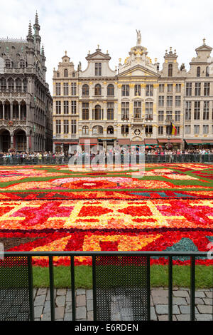 Tappeto di fiori sulla Grand Place di Bruxelles in Belgio. In verticale Foto Stock