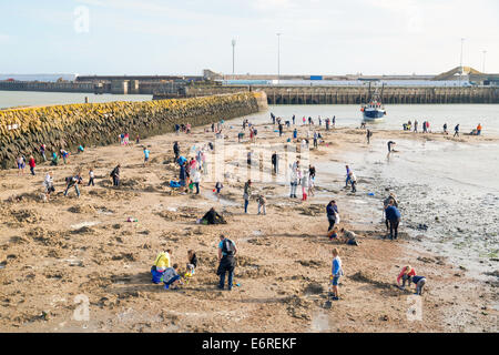 Folkestone, Regno Unito. Il 29 agosto, 2014. L'artista tedesco Michael Sailstorfer ha sepolto 30 oro bar che vale la pena un totale di £ 10.000 nel porto esterno area di Folkestone, Kent. I cacciatori di tesori sono autorizzati a tenere qualsiasi oro che trovano. Il 'artwork' noto come Folkestone scava è parte del 2014 Folkestone celebrazione triennale. Credito: Stephen francese/Alamy Live News Foto Stock