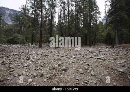 Los Angeles, California, USA. 25 Ago, 2014. Il parco nazionale di Yosemite creek inferiore al Yosemite Falls sorge a secco in Yosemite Valley 25 agosto 2014 nel Parco Nazionale di Yosemite in California. © Ringo Chiu/ZUMA filo/Alamy Live News Foto Stock