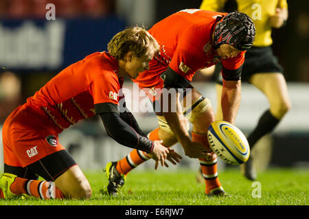 Leicester, Regno Unito. Il 29 agosto, 2014. Leicester Tigers rispetto a Cardiff Blues. Matthew Tait e Giuliano Salvi (Leicester Tigers) codifica per una sfera allentati. Credito: Azione Sport Plus/Alamy Live News Foto Stock