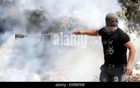 Ramallah, West Bank. Il 29 agosto, 2014. Un dimostrante palestinese getta una bomboletta di gas utilizzando un sling shot durante gli scontri con la sicurezza di Israele il personale nel villaggio di Bilin, vicino la Cisgiordania città di Ramallah dopo un mese di marzo a sostegno della resistenza nella Striscia di Gaza. Sette settimane di guerra tra militanti di Hamas e Israele nella Striscia di Gaza ucciso più di 2.100 persone e e lasciato il territorio di infrastrutture in brandelli e decine di migliaia di profughi palestinesi. Credito: Shadi Hatem APA/images/ZUMA filo/Alamy Live News Foto Stock