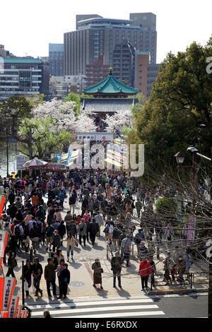 La gente, la folla di turisti presso il parco Ueno, tokyo Asia durante la fioritura dei ciliegi stagione, alberi con fiori in primavera, hanami Foto Stock