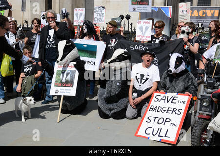 Badger Cull protesta, Royal Court di Londra, Inghilterra. Foto Stock