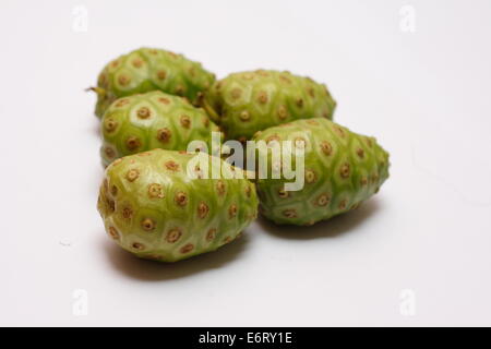 Frutta noni Morinda citrifolia su sfondo bianco Foto Stock