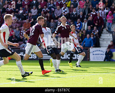 Edimburgo, Scozia. Il 30 agosto, 2014. Campionato scozzese. Cuori Billy re rendendo 3-0 durante il campionato scozzese corrispondono, cuori rispetto a Falkirk da Tynecastle Stadium. Credito: Azione Sport Plus/Alamy Live News Foto Stock