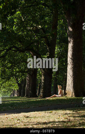 Una giovane donna rilassante in Hyde Park accanto a una fila di Londra platani Foto Stock