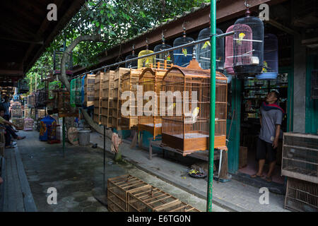 Yogyakarta, Java, Indonesia. Uccelli da gabbia per la vendita nel mercato degli uccelli. Foto Stock