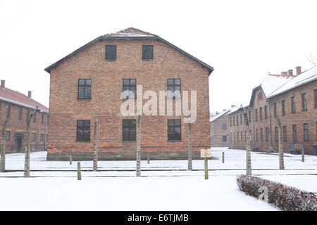 Caserma residenziale presso il Memoriale di Auschwitz-Birkenau all'Olocausto nazista in Polonia Foto Stock