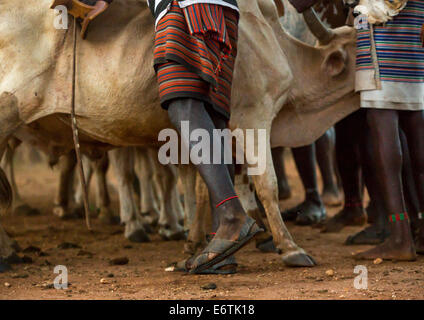Tribù Bashada durante un toro Jumping cerimonia, Dimeka, Valle dell'Omo, Etiopia Foto Stock