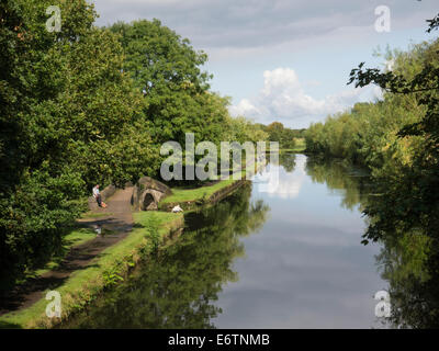 Leeds Liverpool canal in Haigh Hall Country Park Wigan Grande Manchester Inghilterra England Regno Unito Foto Stock