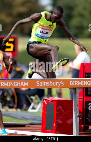 Haron LAGAT, 3000m Siepi uomini la gara del campionato di diamante 2014 Sainsbury's Birmingham Grand Prix, Alexander Stadium, REGNO UNITO Foto Stock