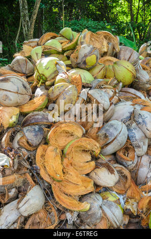 Pila di scartato gusci di noce di cocco in Thailandia Foto Stock