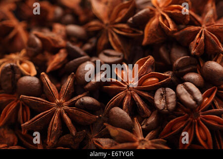 Anice stellato e i chicchi di caffè. Close-up. Foto Stock