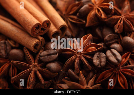 Bastoncini di cannella, anice stellato e i chicchi di caffè. Close-up. Foto Stock