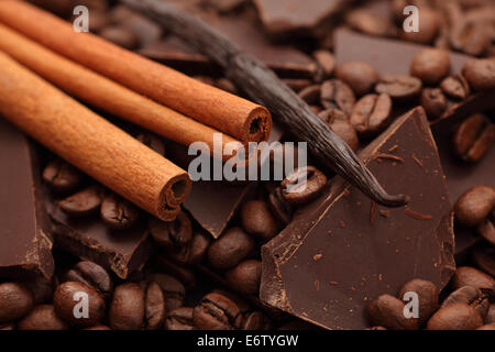 Cioccolato, i chicchi di caffè, vaniglia e bastoncini di cannella. Close-up. Foto Stock