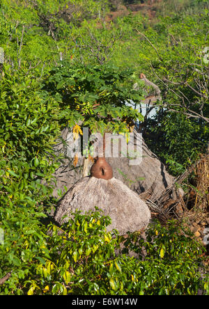 Tribù Konso case tradizionali con pentole sulla parte superiore, Konso, Valle dell'Omo, Etiopia Foto Stock