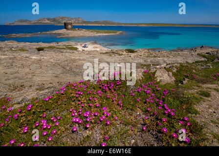 Spiaggia e mare blu cristallino a Spiaggia Spiaggia sulla Sardegna in Italia Foto Stock