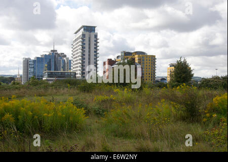 Vista di Basingstoke Hampshire, da un prato Foto Stock