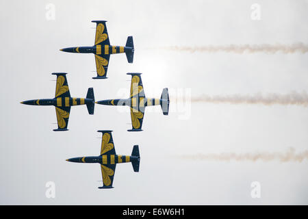 SLIAC, Slovacchia - 30 agosto: Volo del Baltico api Jet Team dalla Lettonia in stretta formazione durante airshow SIAF in Sliac, Slovacchia il 30 agosto 2014 Credit: Lubos Paukeje/Alamy Live News Foto Stock